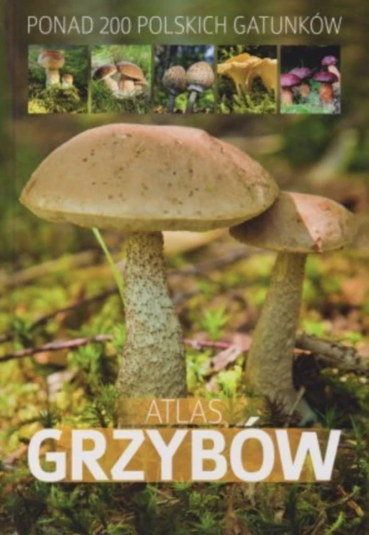 171