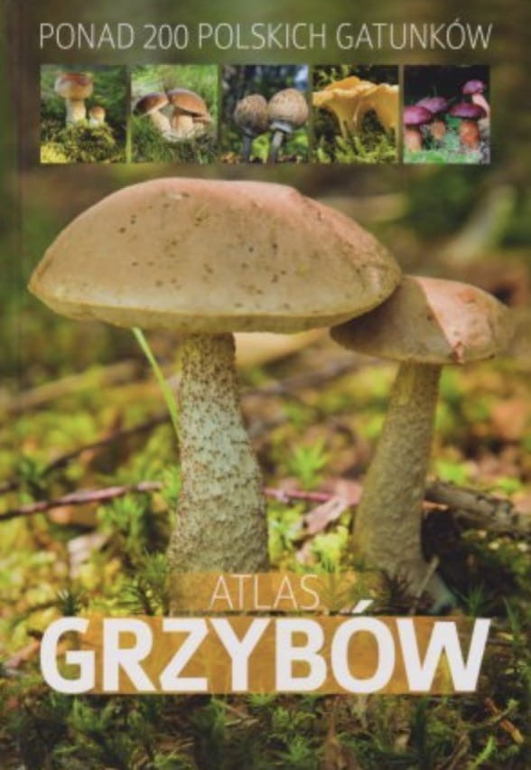 171
